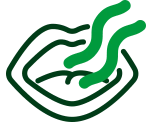 กลิ่นปาก