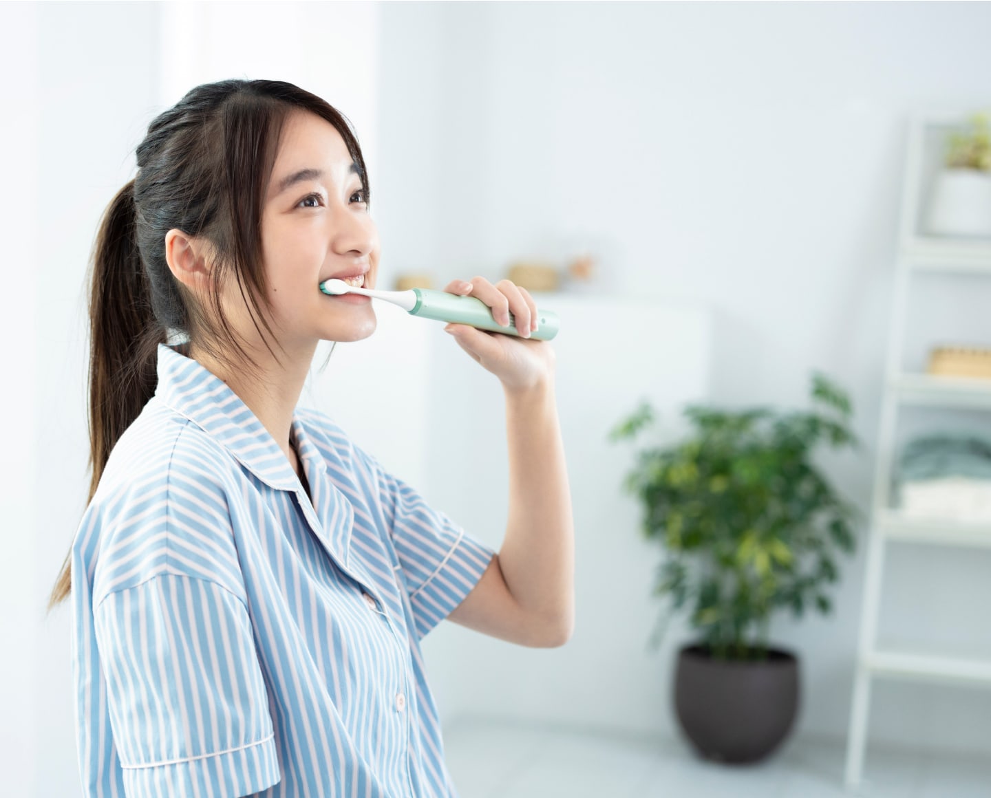 Power Toothbrush