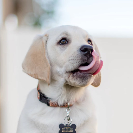 Maintain tongue hygiene